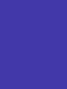 Пленка самоклеющаяся "Color Decor" 45см (8м) ЦВЕТНАЯ 2011х24 ирис